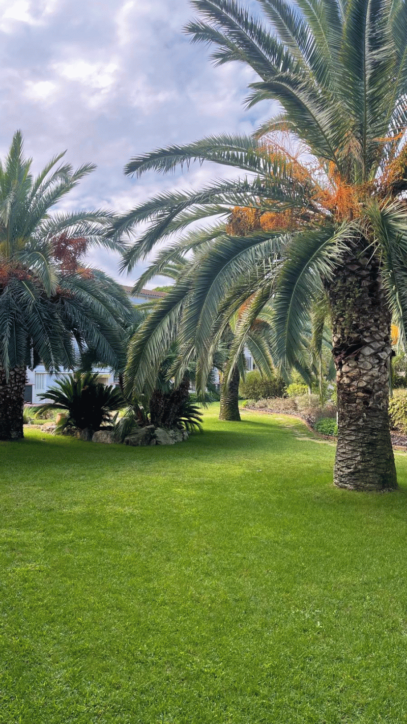 CALELLA DE PALAFURGELL